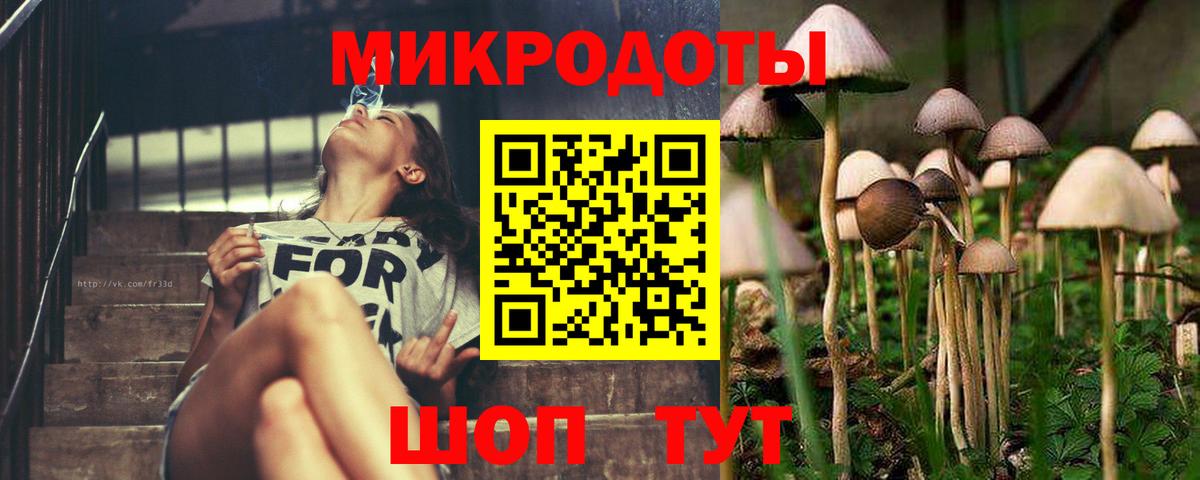 Галлюциногенные грибы мицелий Заволжье