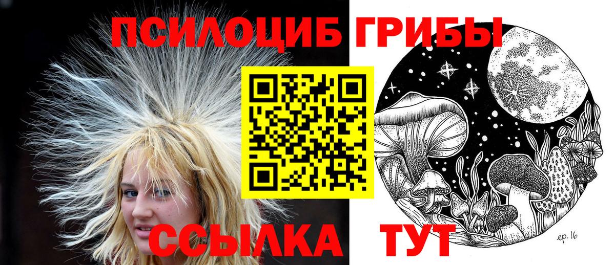 Заволжье  Галлюциногенные грибы Psilocybe  Вход с VPN  Псилоцибиновые грибы мицелий 